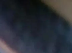 নকল ডগ সেক্সি ভিডিও  ...