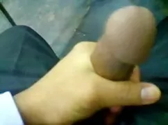 সর্বজনীন কামে দিশাহা ...