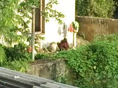 মেয়ে সমকামী, বিগ সে ...