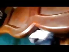 তিনি বেঙ্গলি লোকাল স ...