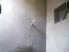 বড়-কাটিয়া জল সেক্স ...