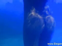 লিঙ্গ, ডানা মাত্র মু ...