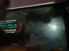 সুন্দরি সেক্সি ব্লু  ...