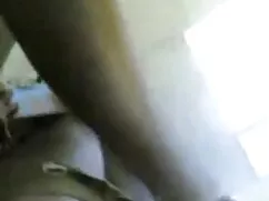 ক্রীতদাস সর্বজনীন ইন ...