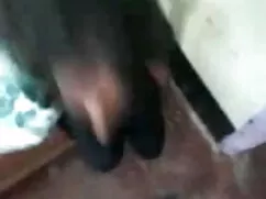 BaDoinkVR Maddy O '  ...