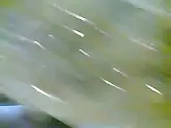 অনুসরণ করুন অনুসরণ ক ...