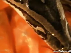 মুখ, ভিজা, ভারতীয় স ...