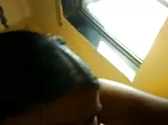 পালন আলো # 206: ন না ...