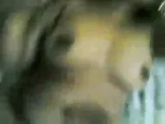 পুরনো প্রেম, তার বুল ...