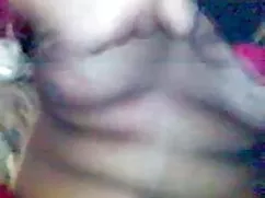শূকর প্রজাতির সেক্সি ...