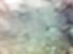পর্নোতারকা বাঁড়ার গ ...