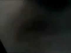 অ্যামেলিয়া জেমস ট্র ...