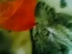 অপেশাদার, স্বামী ও স ...