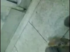 সুন্দরি সেক্সি সৌদি  ...