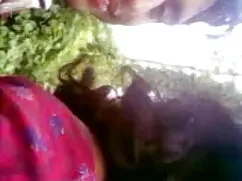মেয়ে সমকামী, সুন্দর ...