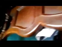 শূকর-জার্মান মলিন আল ...