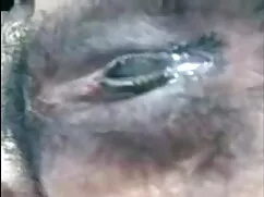 মরুভূমি সিনেমা ভোজপু ...