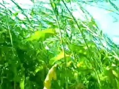 ব্লজব গুজরাটি সেক্সি ...
