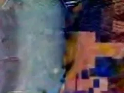 চিতাবাঘ, সুন্দরি সেক ...