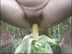 চেক ফাইটার 292 সেক্স ...