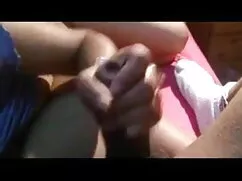 নেদারল্যান্ডস হল্যান ...