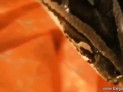 অপেশাদার, স্বামী ও স ...