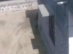 সুন্দরী ওপেন সেক্সি  ...
