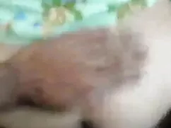এবং বন্ধুরা 6 সেক্সি ...