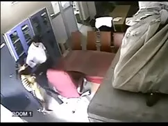 এশিয়ান, গুজরাটি সেক ...